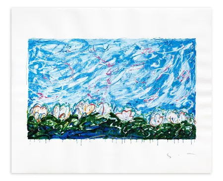 Сериграфия Schifano - Gigli d'acqua