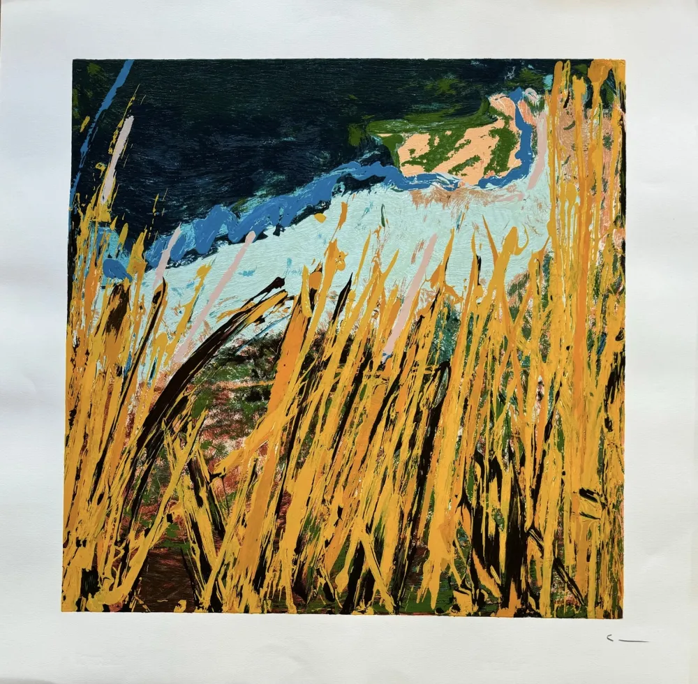 Литография Schifano - Mario Schifano (1934–1998) - Campi da terra - Enamel screen printing - 1990