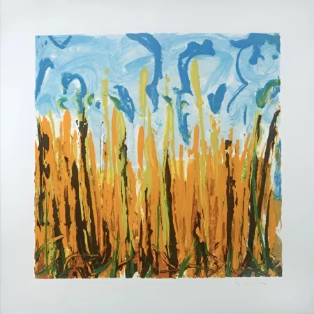 Сериграфия Schifano - Mario Schifano (1934–1998) – Campo Basso – Enamel screen printing, 29-colour printing on Magnani di Pescia paper – 1988