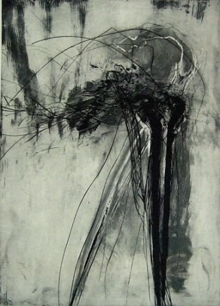 Гравюра Сухой Иглой Schober - Richiamo