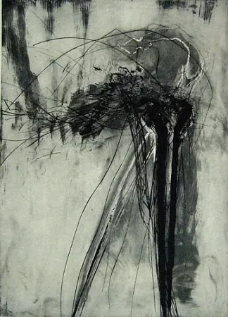 Гравюра Сухой Иглой Schober - Richiamo