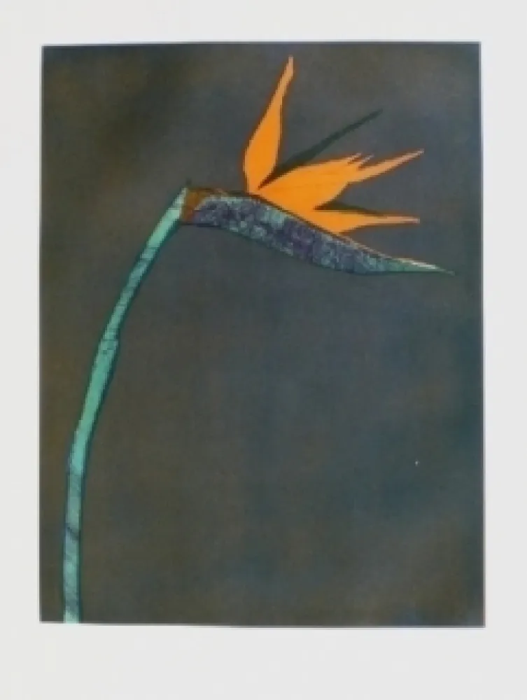 Гравюра Scholder - Flower at Barcelona