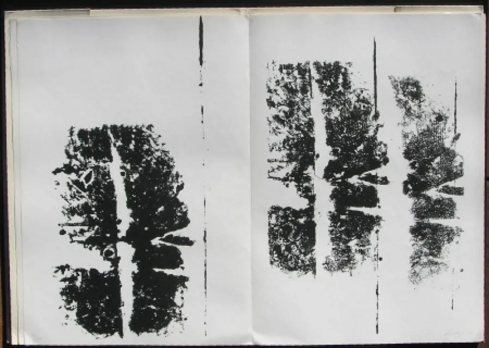 Иллюстрированная Книга Scialoja - Toti Scialoja. Quattro litografie