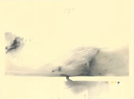 Нет Никаких Технических Sensen - Birnen — Mettnau 1