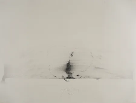 Нет Никаких Технических Sensen - Mettnau 11.  Birnen-vaginal