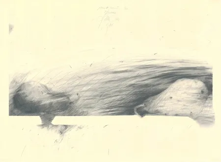 Нет Никаких Технических Sensen - Mettnau 12 — 2 Birne