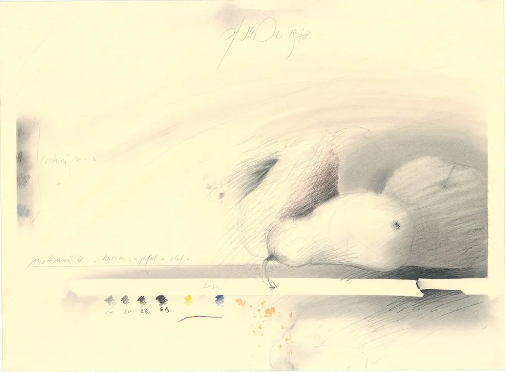 Нет Никаких Технических Sensen - Mettnau 4—Birnen, Apfel + Akt