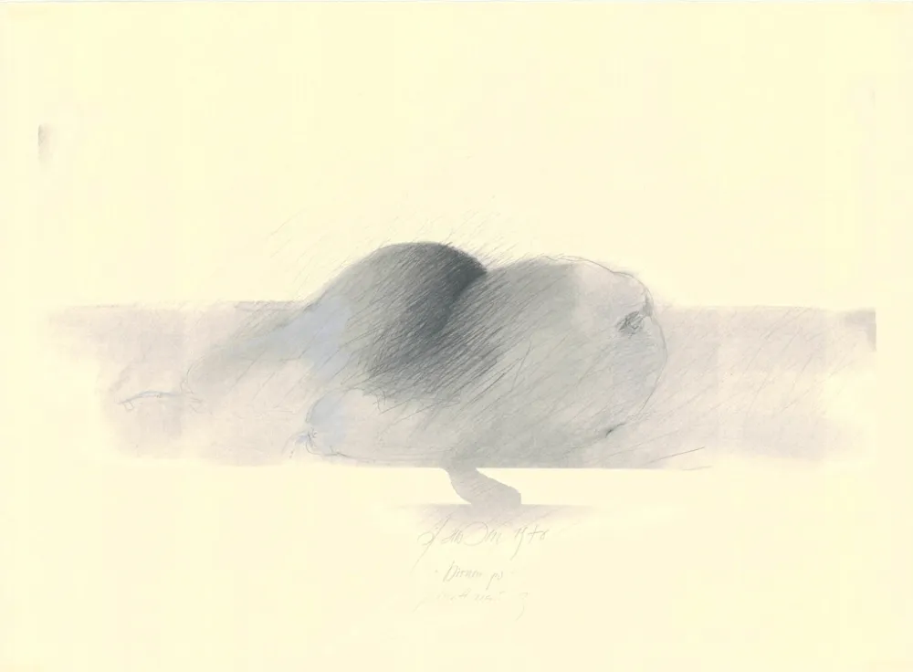 Нет Никаких Технических Sensen - Mettnau 9.  Birnen po