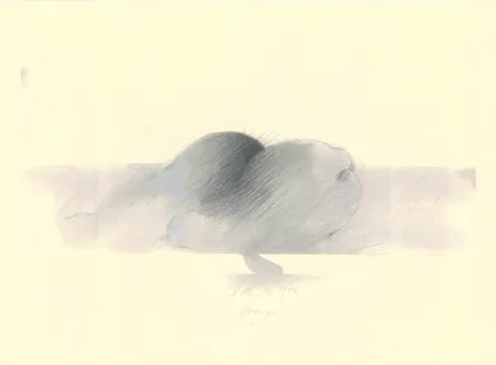 Нет Никаких Технических Sensen - Mettnau 9.  Birnen po