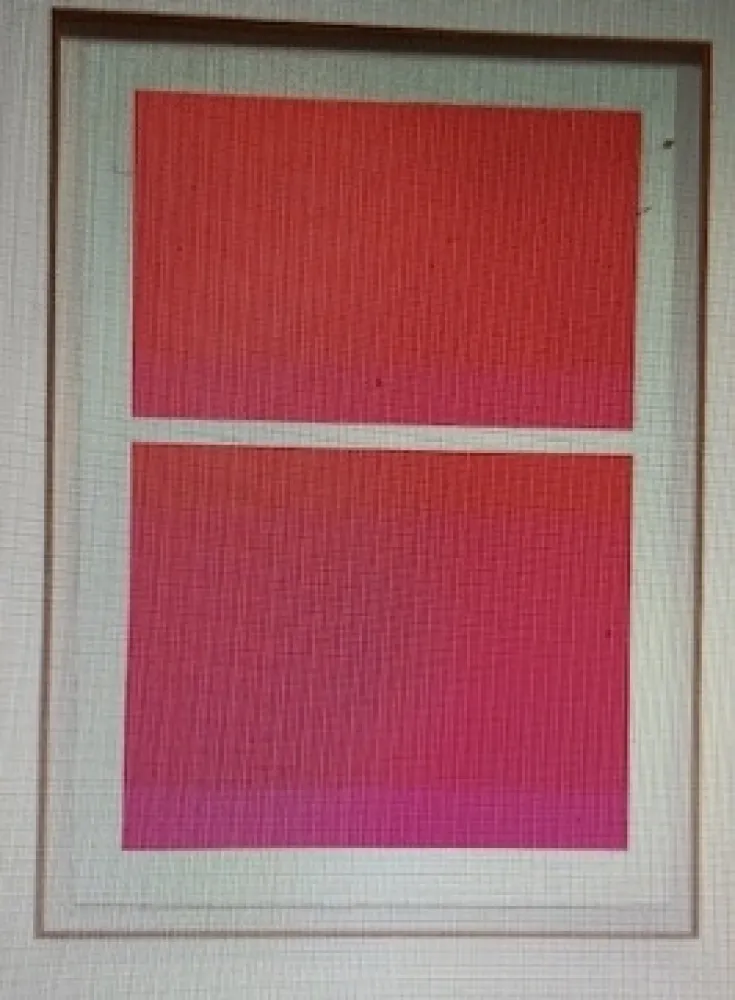 Сериграфия Shepherd - State Theater on Bikini Pink