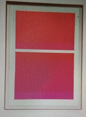 Сериграфия Shepherd - State Theater on Bikini Pink