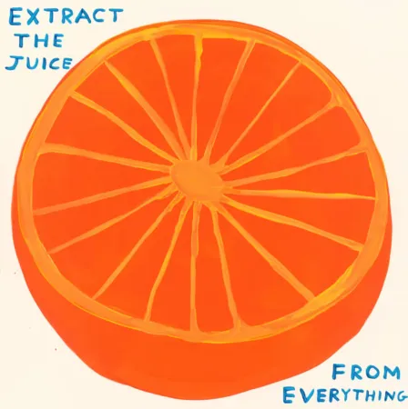 Сериграфия Shrigley - Extract The Juice