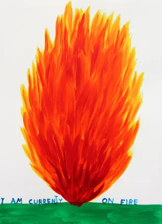 Сериграфия Shrigley - I Am Currently On Fire