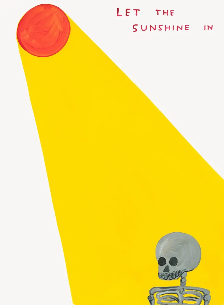 Сериграфия Shrigley - Let The Sunshine In