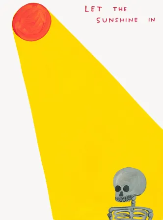 Сериграфия Shrigley - Let The Sunshine In