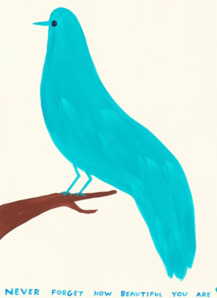 Многоэкземплярное Произведение Shrigley - Never Forget How Beautiful You Are