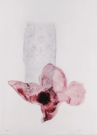 Литография Sicilia - Composición (Flor)