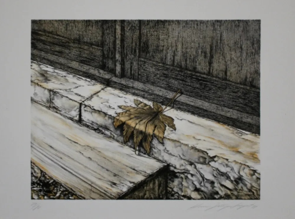 Литография Siegert - Ahornblatt / Maple Leaf