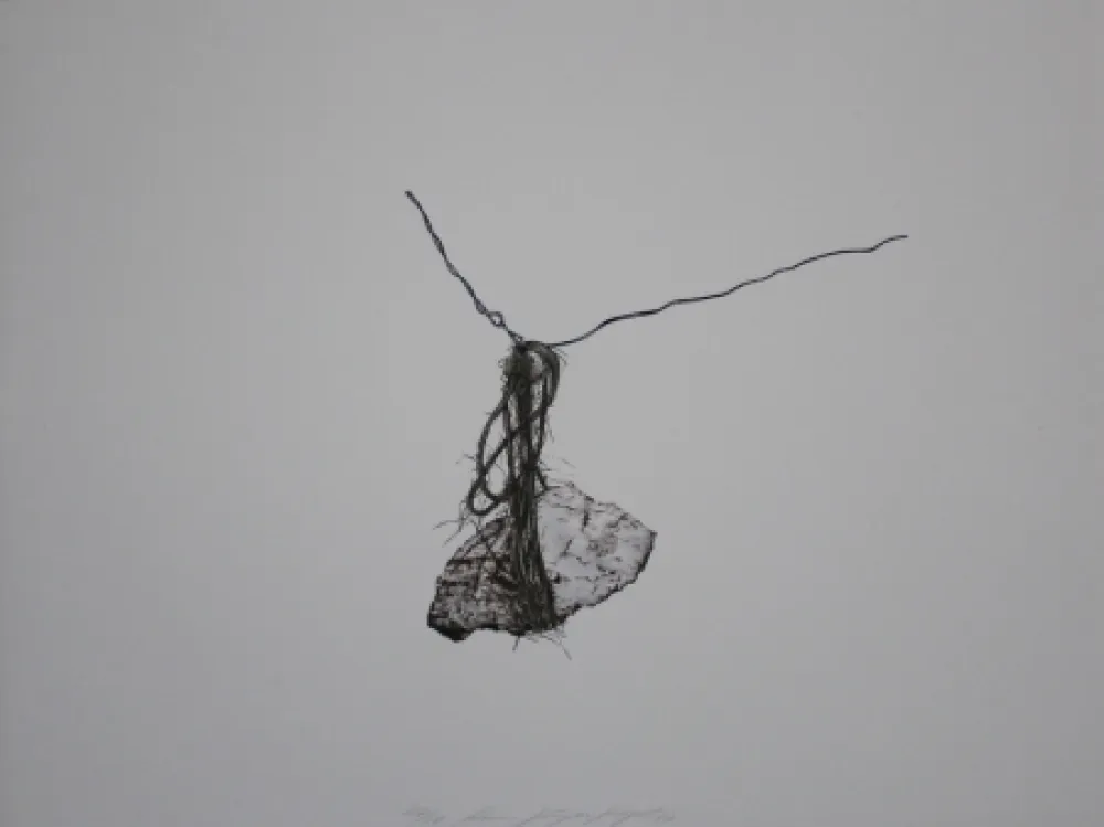 Литография Siegert - Stein / Rock