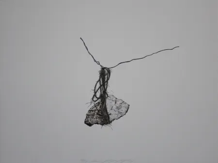 Литография Siegert - Stein / Rock