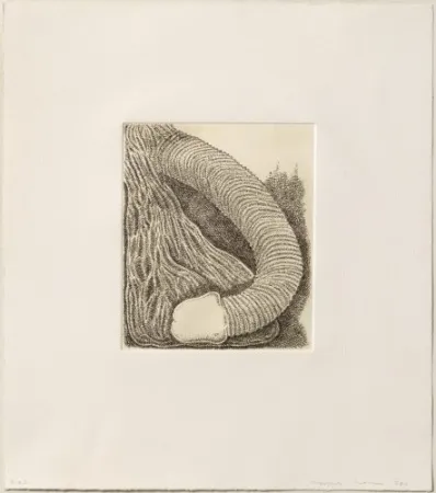 Гравюра Siena - Membre