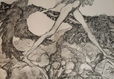 Иллюстрированная Книга Simon - Die Suchende / Celle qui cherche