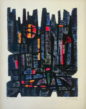 Литография Singier - L'Appareil de Maître Gessner 