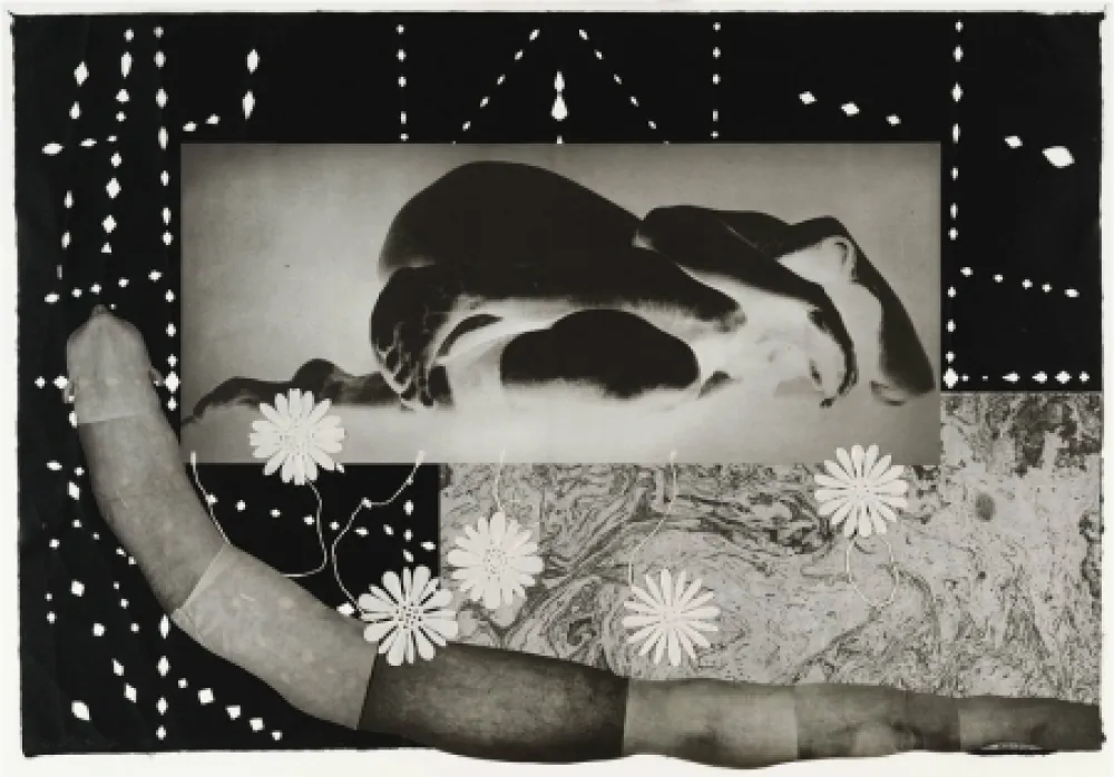 Гравюра Smith - Worm