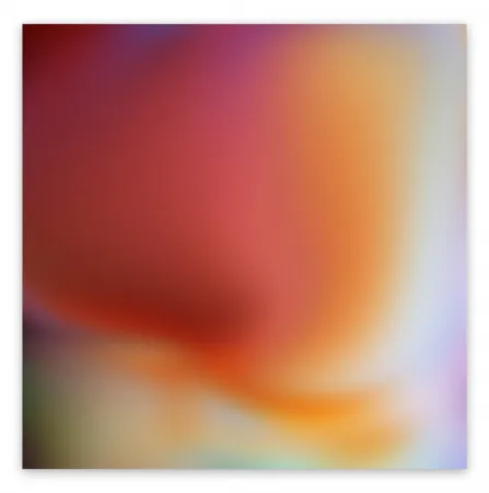 Фотографии Snell - Bleed # 202009