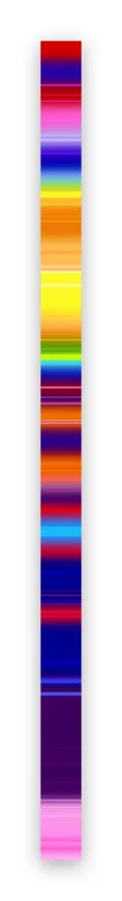 Фотографии Snell - Lumina # 202101 