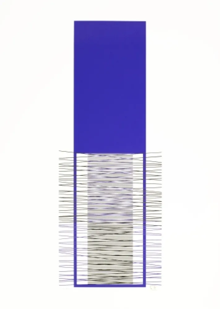 Сериграфия Soto - Caroni (Purple) 