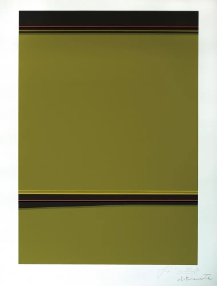 Сериграфия Soto - Composición