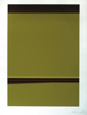 Сериграфия Soto - Composición