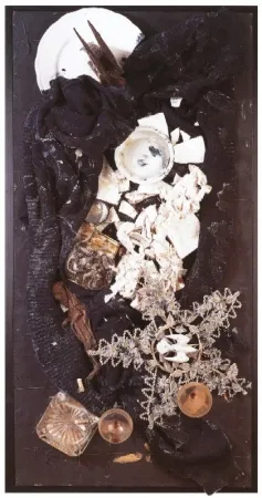 Нет Никаких Технических Spoerri - Büsser-Jacke als Vogelfrass