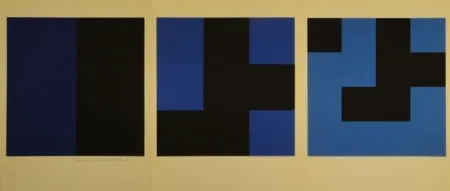 Сериграфия Stankowski - Wachsen verzweigen verfeinern. Fünteiliges Leporello