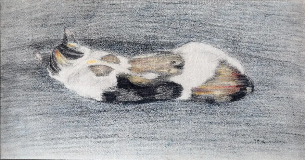 Литография Steinlen - Chats et Autres Bêtes