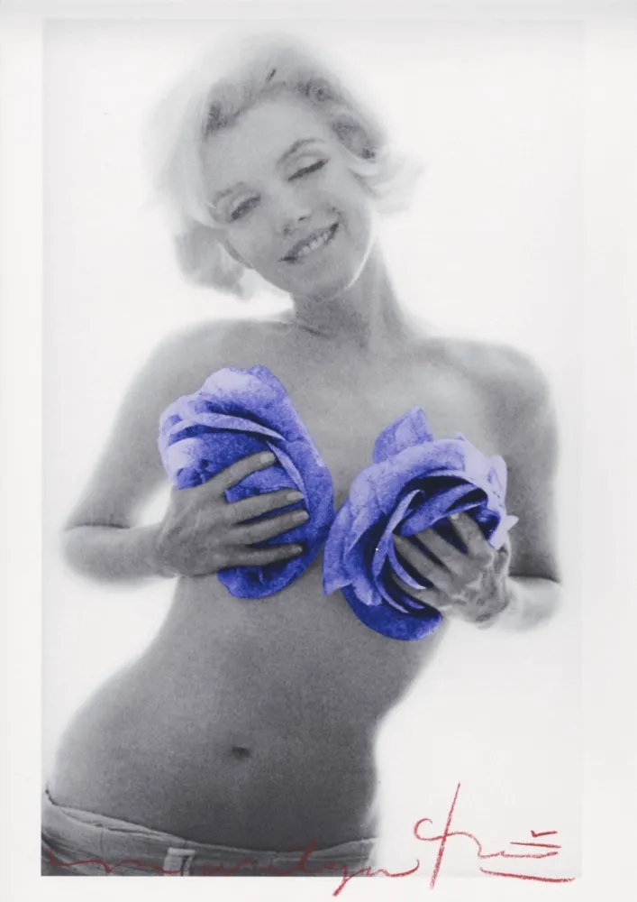 Многоэкземплярное Произведение Stern - Marilyn Monroe purple wink roses