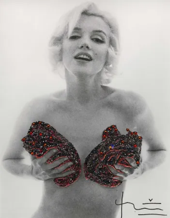 Фотографии Stern - Marilyn Red Classic Charcoal Roses