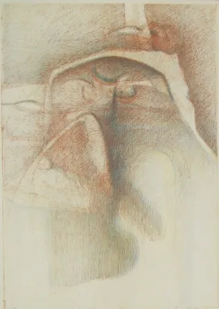 Иллюстрированная Книга Stradella  - Vedo coi loro occhi ciechi