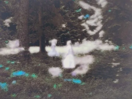 Фотографии Strba - Frances und die Elfen. 