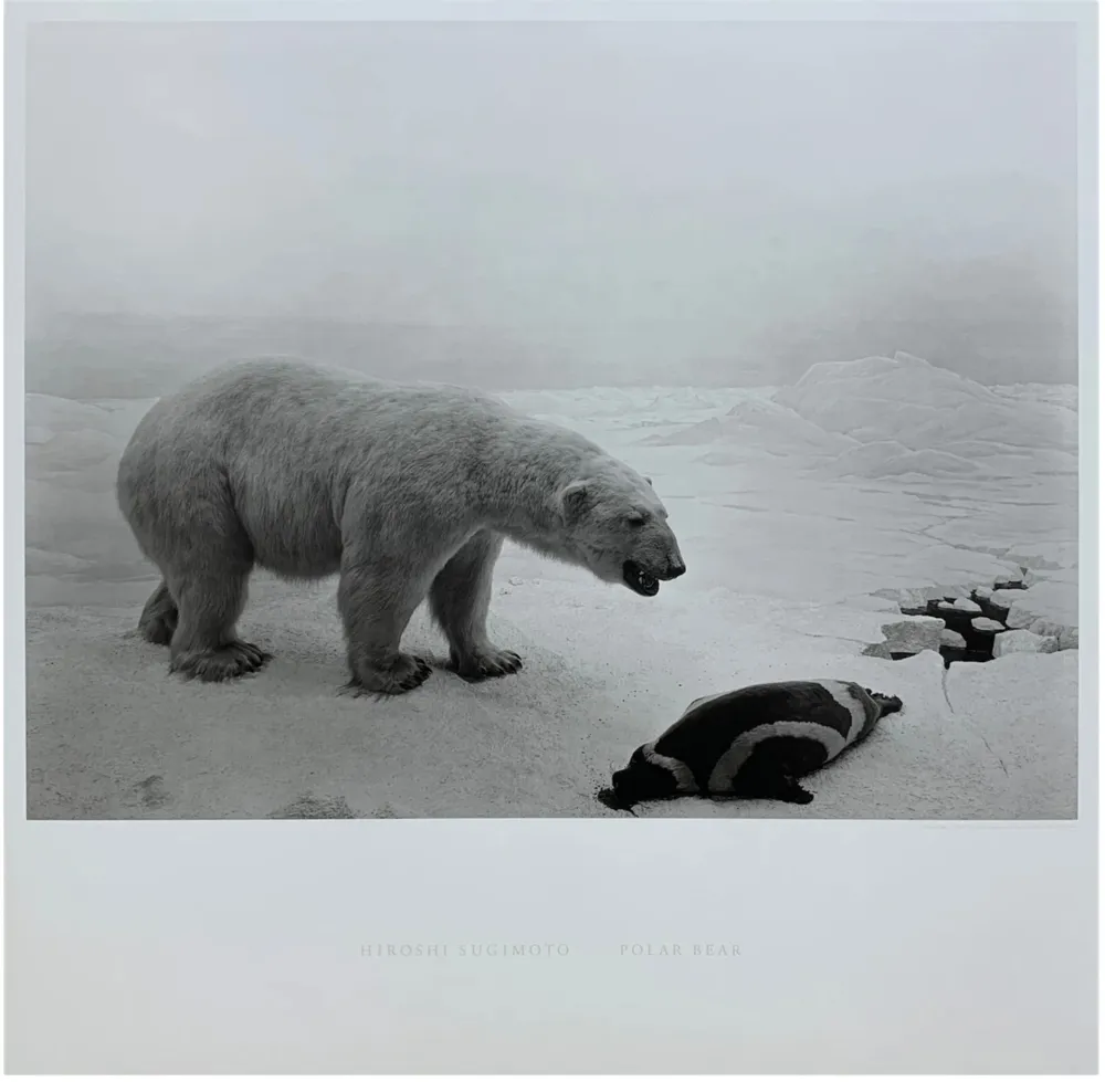 Многоэкземплярное Произведение Sugimoto - Polar Bear