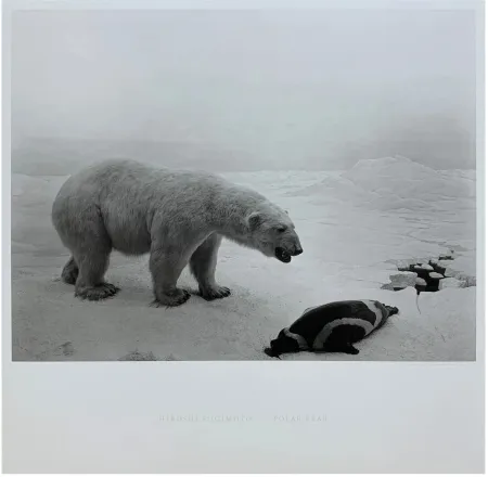 Многоэкземплярное Произведение Sugimoto - Polar Bear