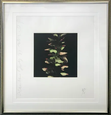 Сериграфия Sultan - ACANTHUS