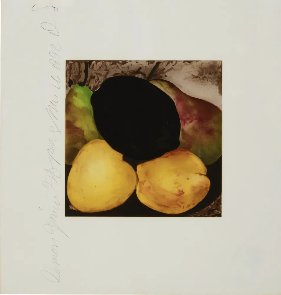 Сериграфия Sultan - Lemon Juice and Pears from Fruits and Flowers