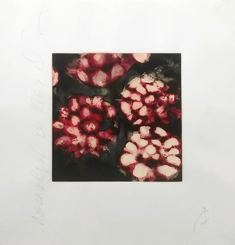 Сериграфия Sultan - ROSES