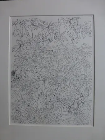 Офорт Szafran - Feuillages ,1977