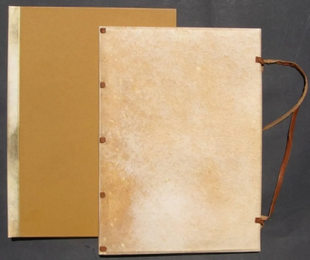 Иллюстрированная Книга Tadini - La donna con la bocca aperta. The Woman With Her Mouth Open