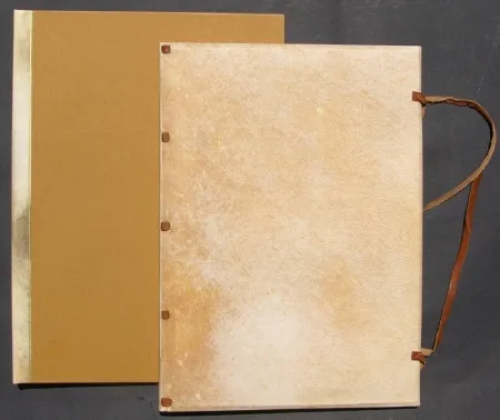 Иллюстрированная Книга Tadini - La donna con la bocca aperta. The Woman With Her Mouth Open