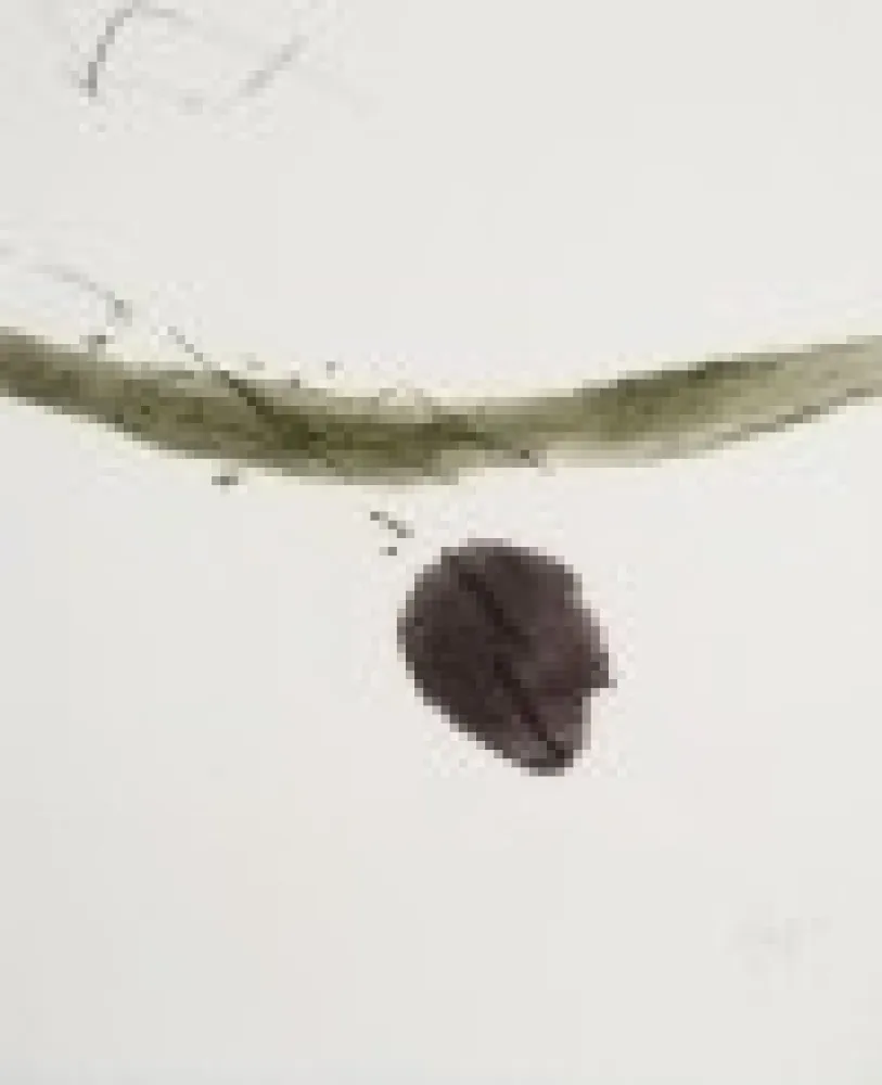 Офорт И Аквитанта Tal Coat - Xème anniversaire de la fondation Maeght 