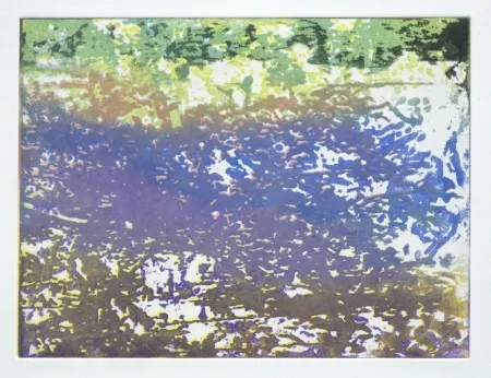 Монотип Tanguy - Mortefontaine 1